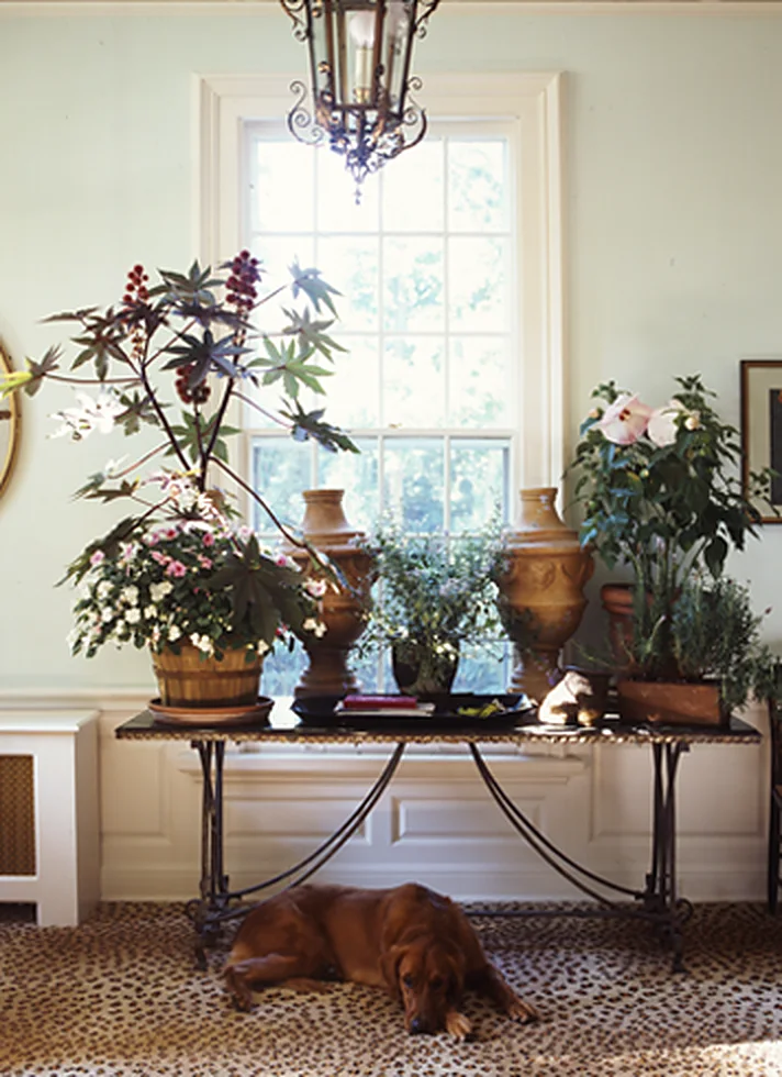 A classical interior by Florence de Dampierre